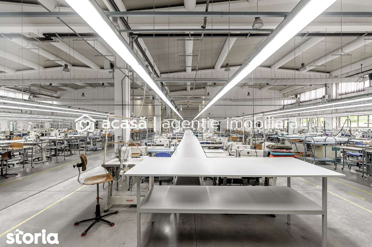 Oportunitate: Hală de producție și depozitare cu birouri în Arad - Imagine principală: 3/20