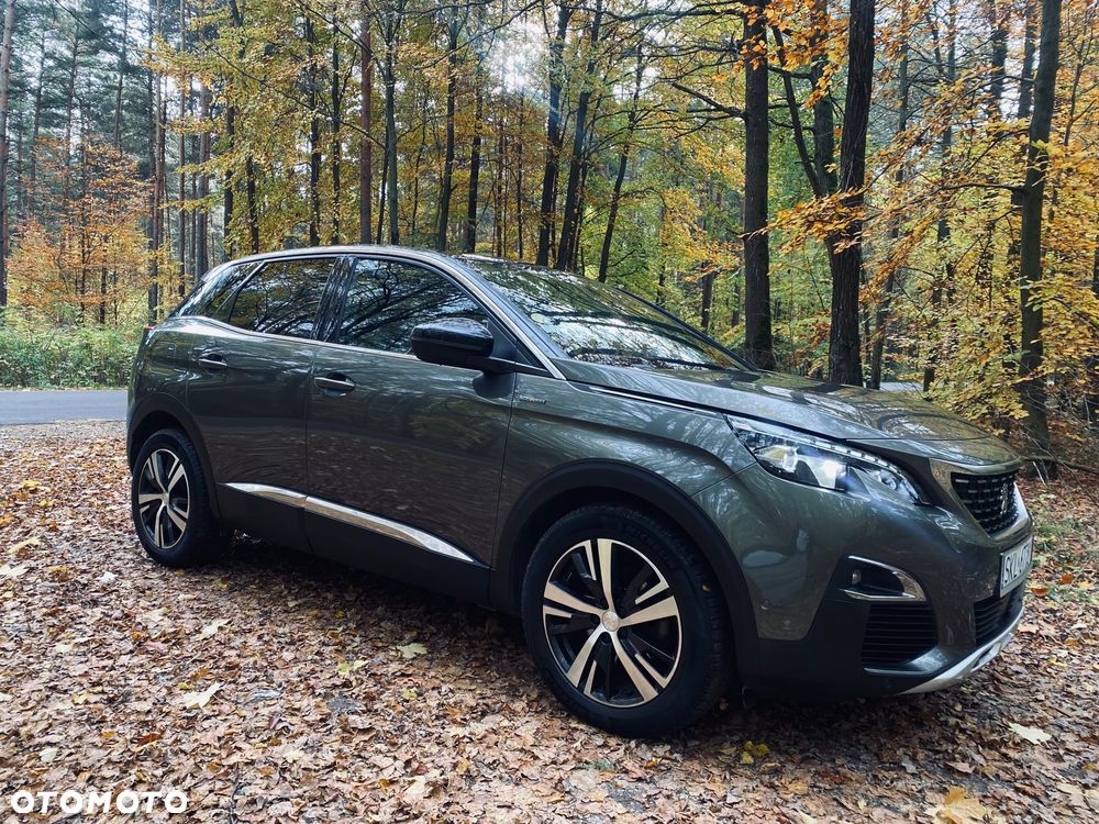 Peugeot 3008 ver-1-5-bluehdi-gt-s-s-eat8 - 21