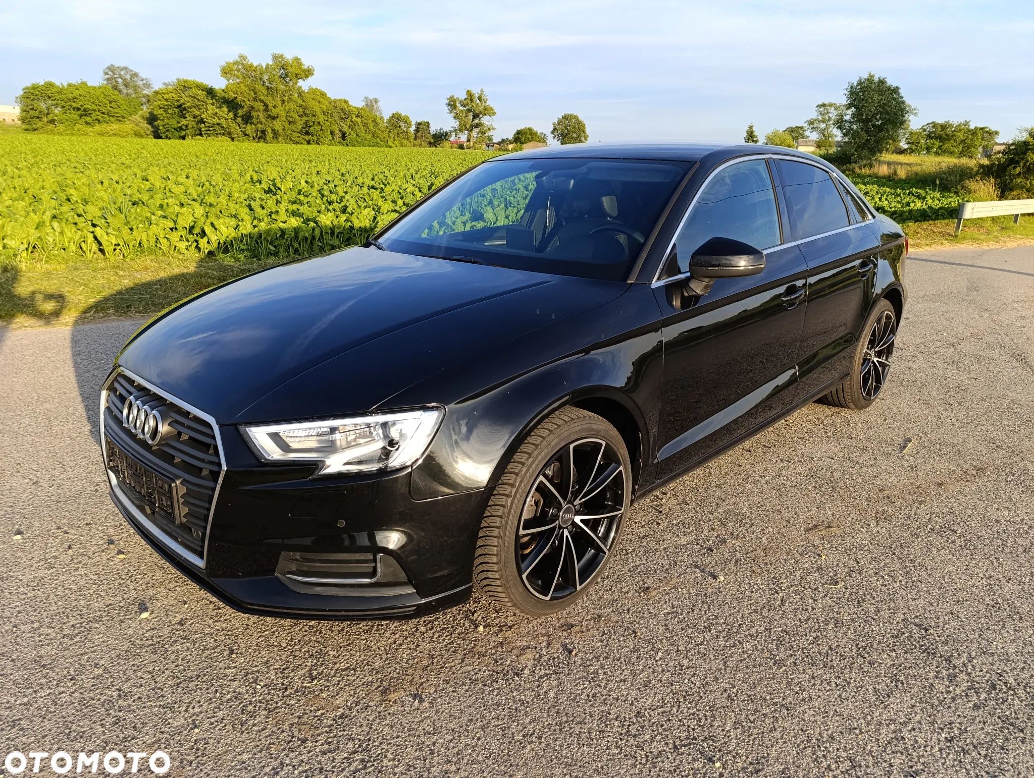 Audi A3 1.6 TDI Sportback S tronic - 1