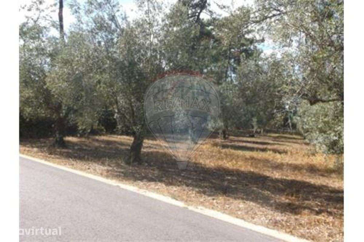 Terreno T0 para venda - Grande imagem: 2/4
