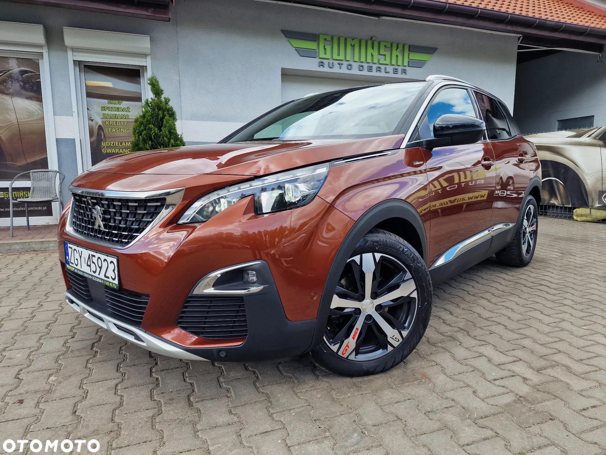 Peugeot 3008 - 1