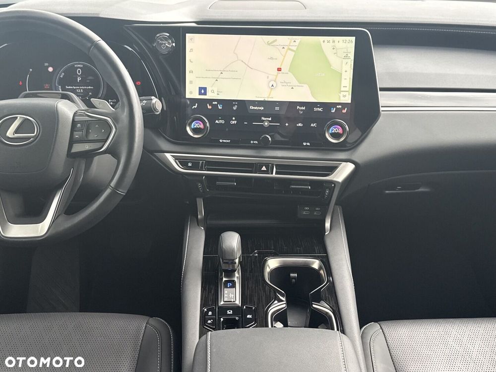 Lexus RX - 19