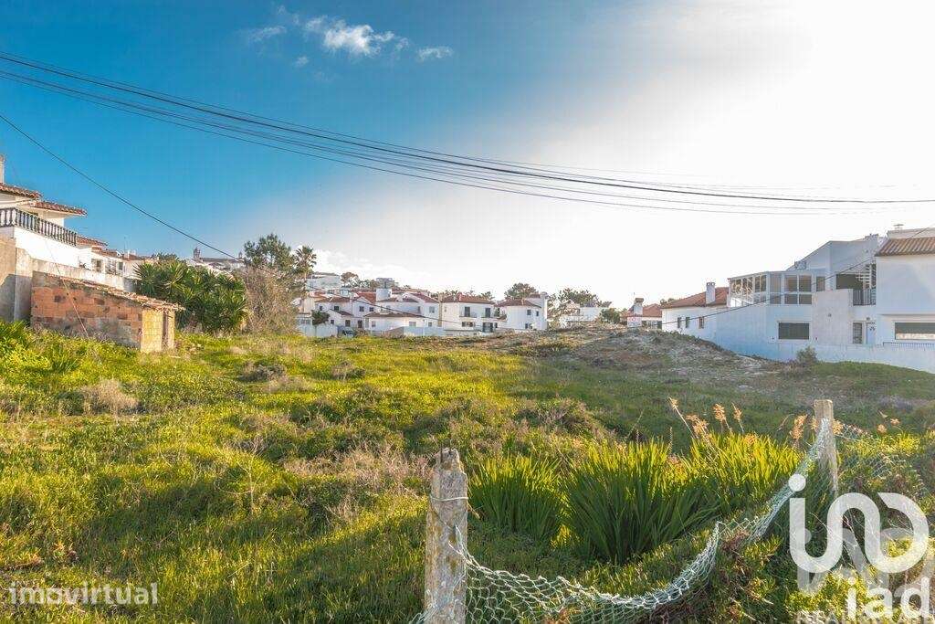 Terreno Agrícola em Nazaré - Grande imagem: 2/7