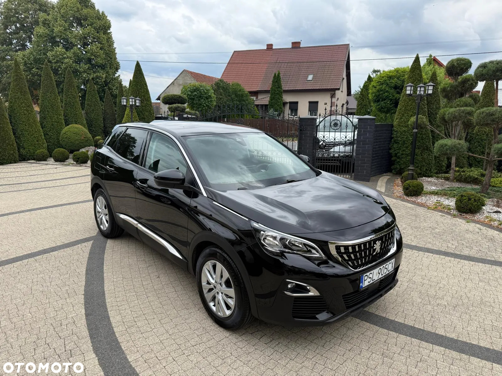 Peugeot 3008 1.5 BlueHDi Active Pack S&S - 13