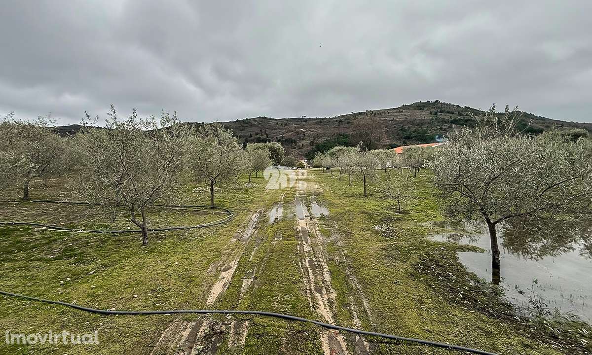 Terreno 5860m² - Pinheiros - Grande imagem: 2/26