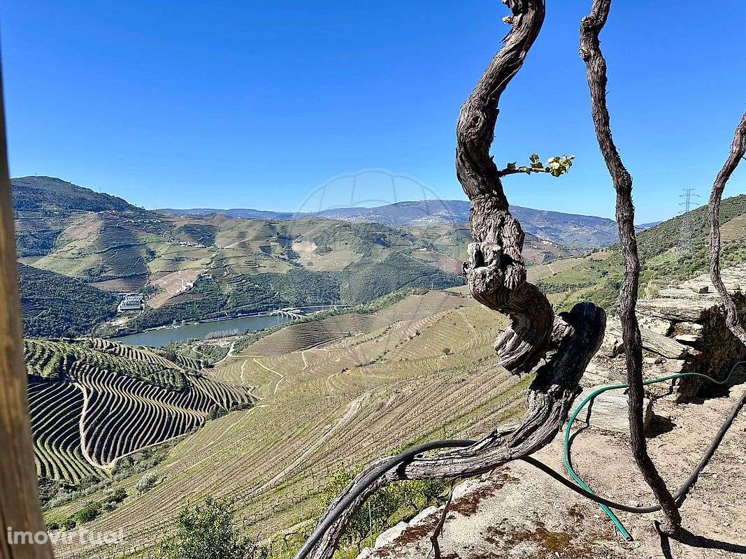 Quinta  para venda - Grande imagem: 2/23