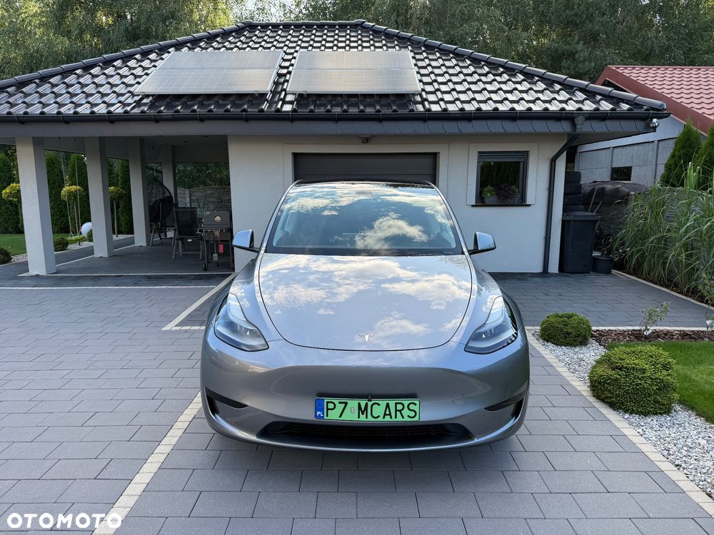 Tesla Model Y Standard - 1