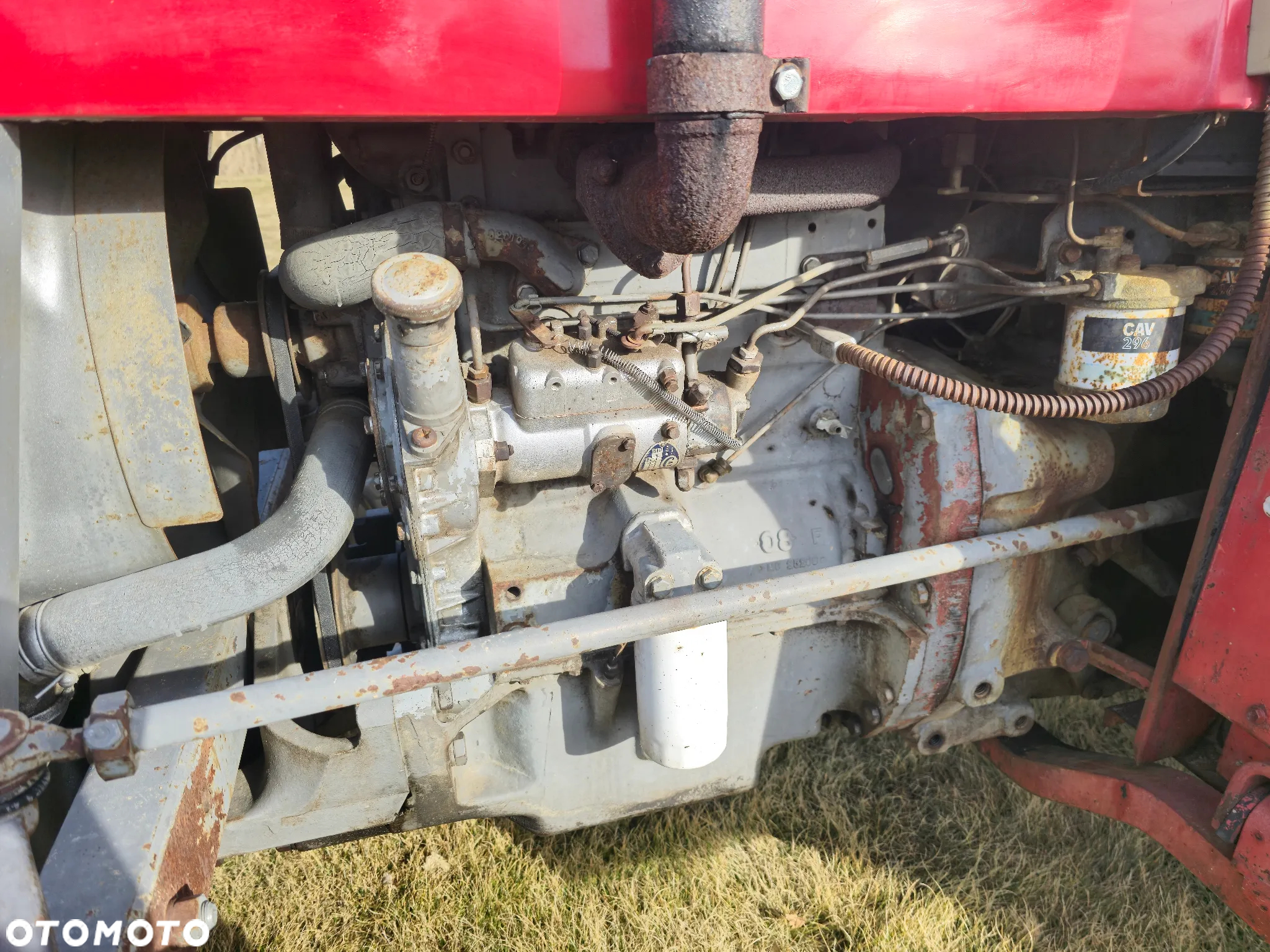 Massey Ferguson MF 135 Special 8-VX - 11
