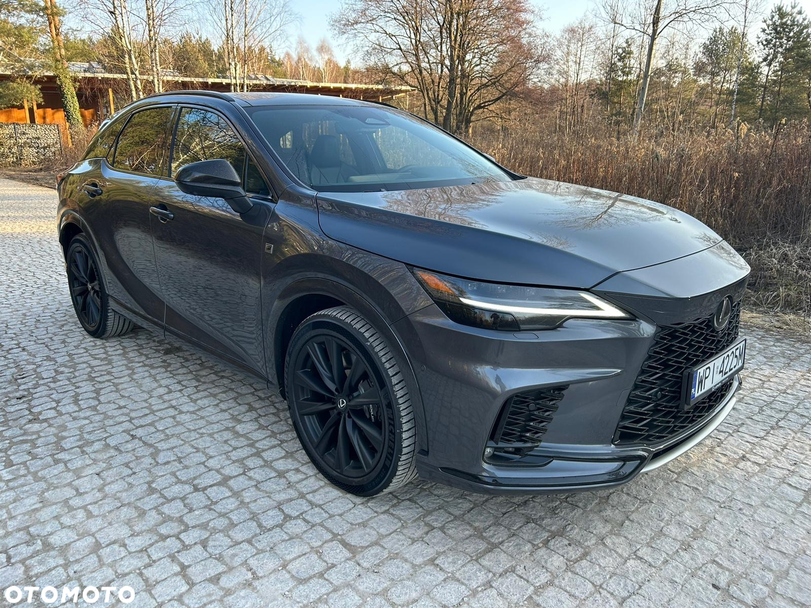 Lexus RX 500h F Sport - 10