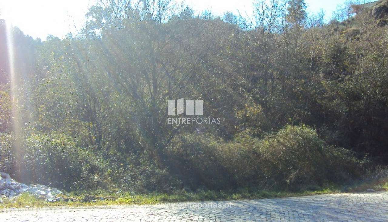 Venda Terreno, Soalhães, Marco de Canaveses - Grande imagem: 5/13
