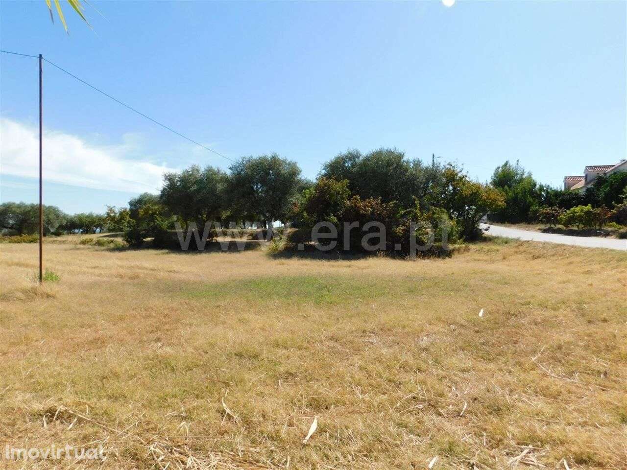 Quinta / Fundão, Catrão - Grande imagem: 2/13