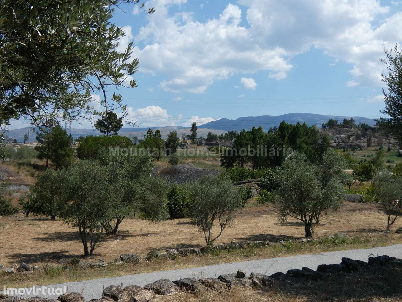 Quintinha  Venda em Arcozelo,Gouveia - Grande imagem: 3/21