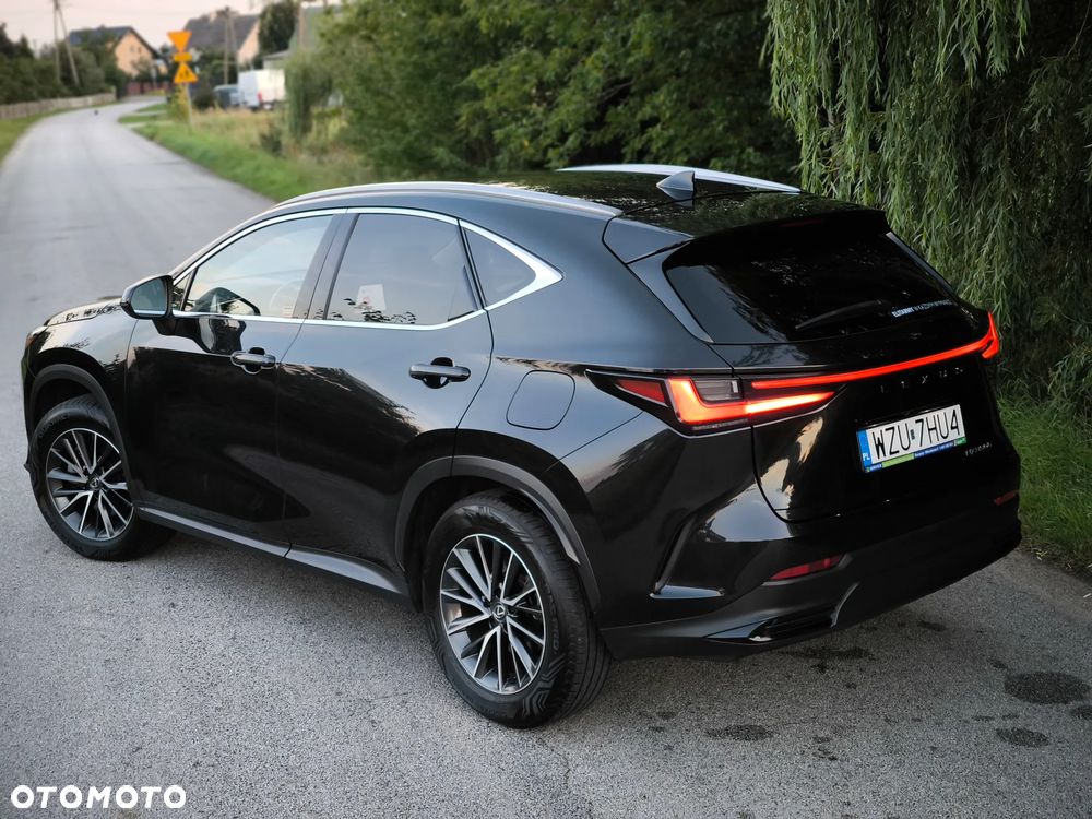 Lexus NX - 10