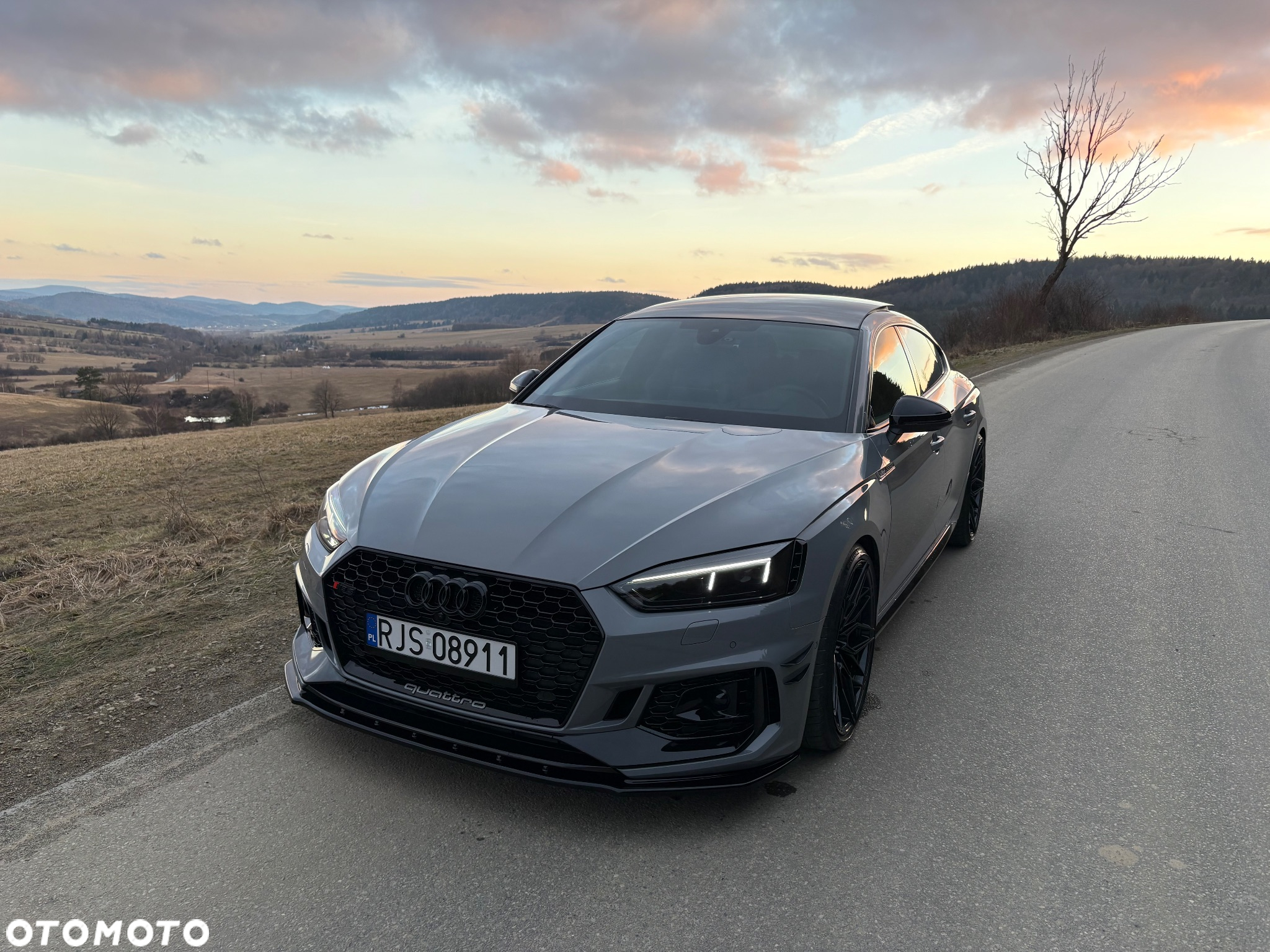 Audi RS5 Sportback 2.9 TFSI quattro tiptronic - 16