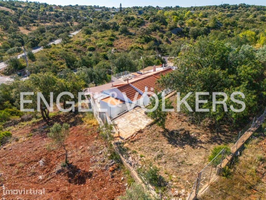 Vale Verde Villa - Grande imagem: 3/43
