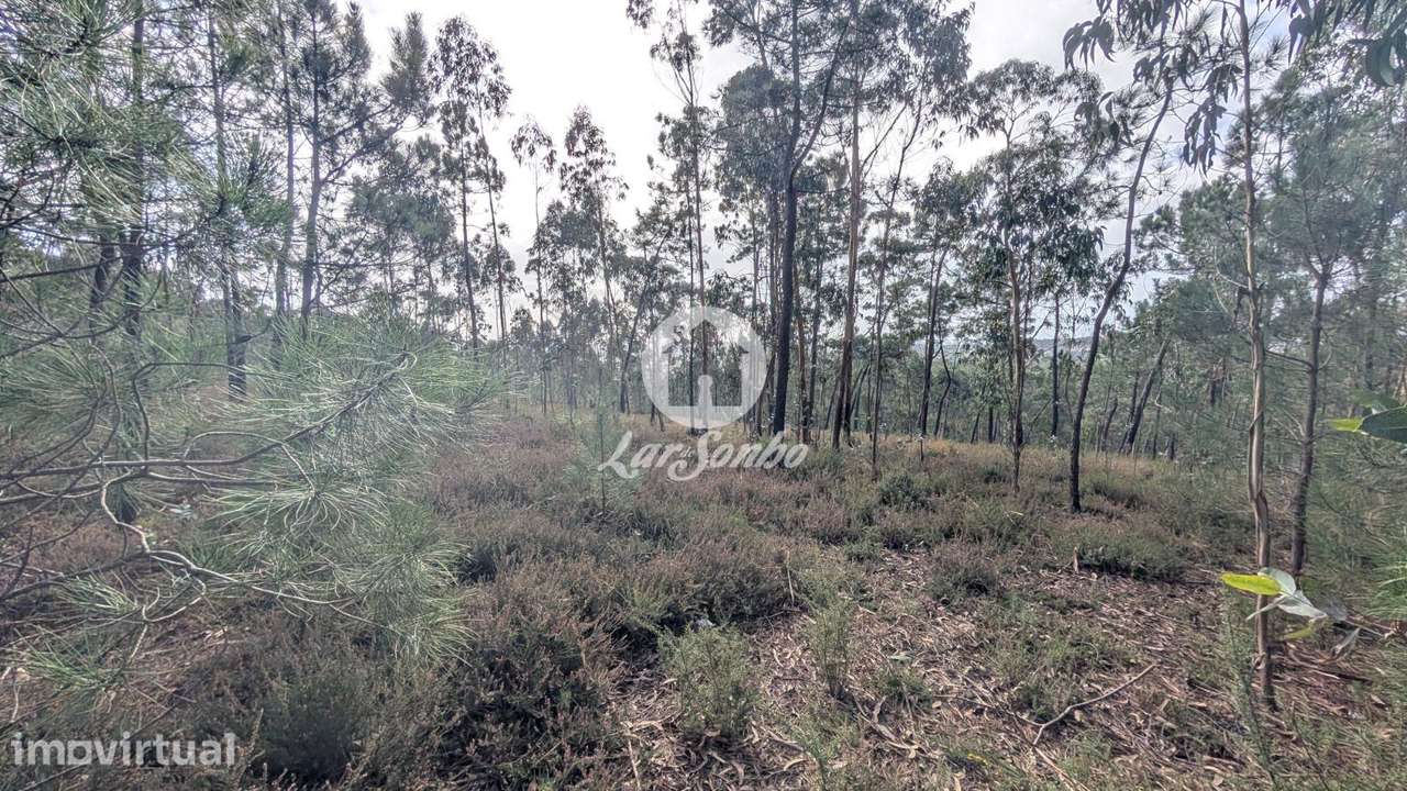 Terreno com 14.516m2 em Laúndos, Póvoa de Varzim - Grande imagem: 3/8