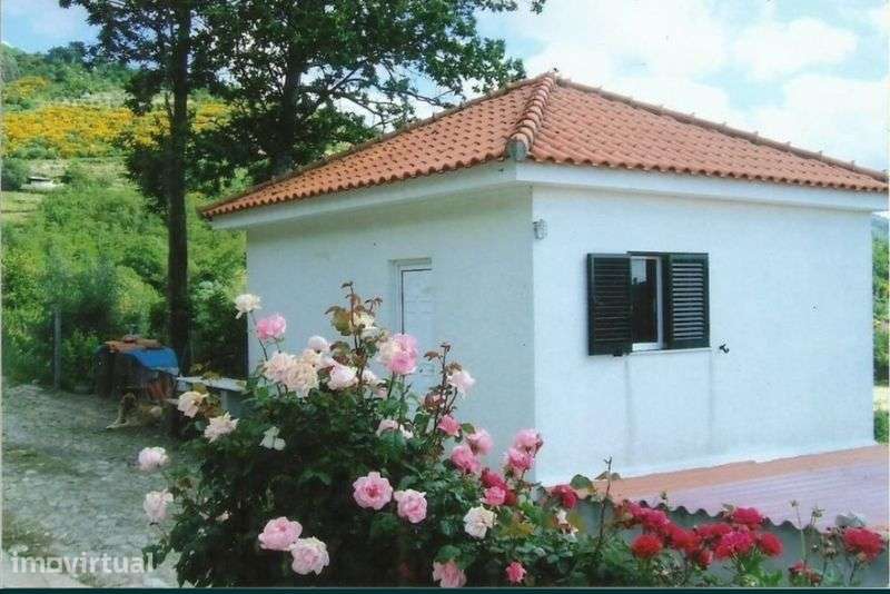 Quinta com nascente de água mineral 45Litros p/minuto - Grande imagem: 3/10