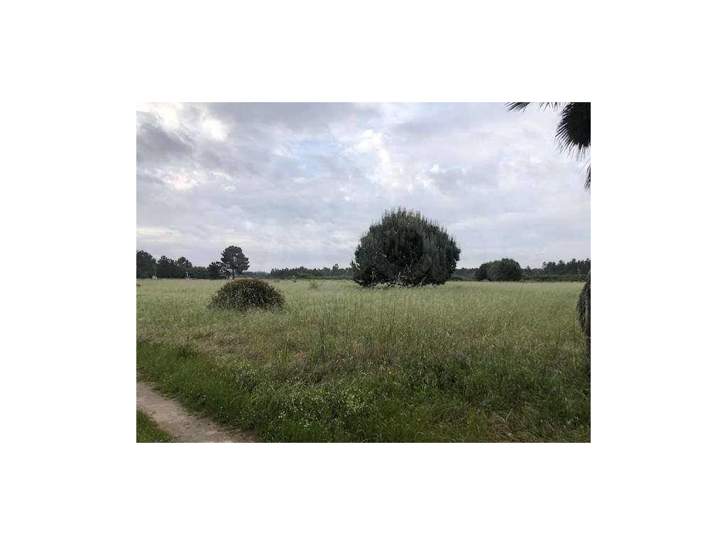 Terreno Benavente - Grande imagem: 5/16