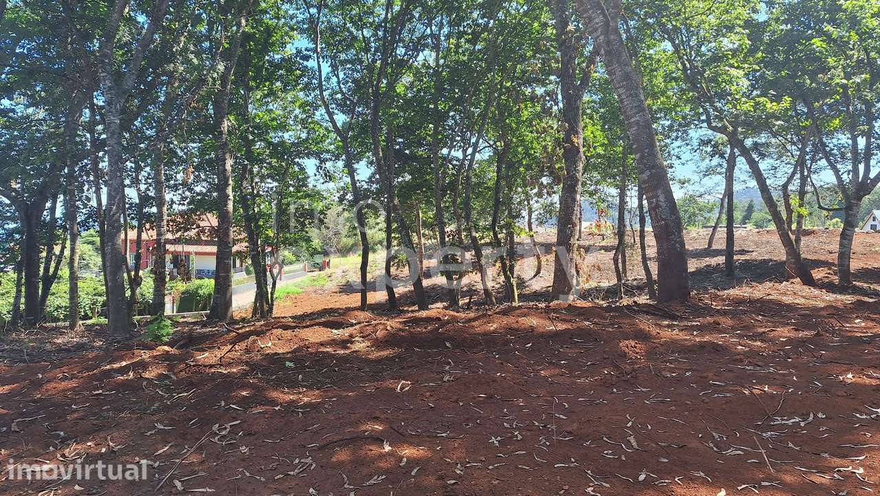 Terreno em Santana com 5090 m², Madeira - Grande imagem: 3/32
