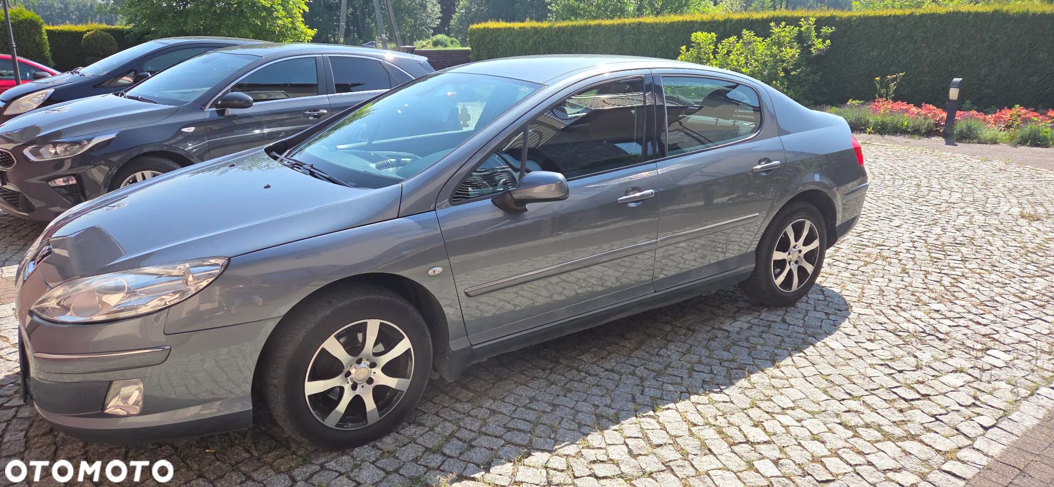 Peugeot 407 2.0 HDI Platinum - 1