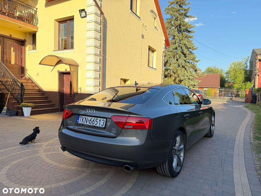 Audi A5 Sportback 3.0 TDI quattro DPF S tronic - 15