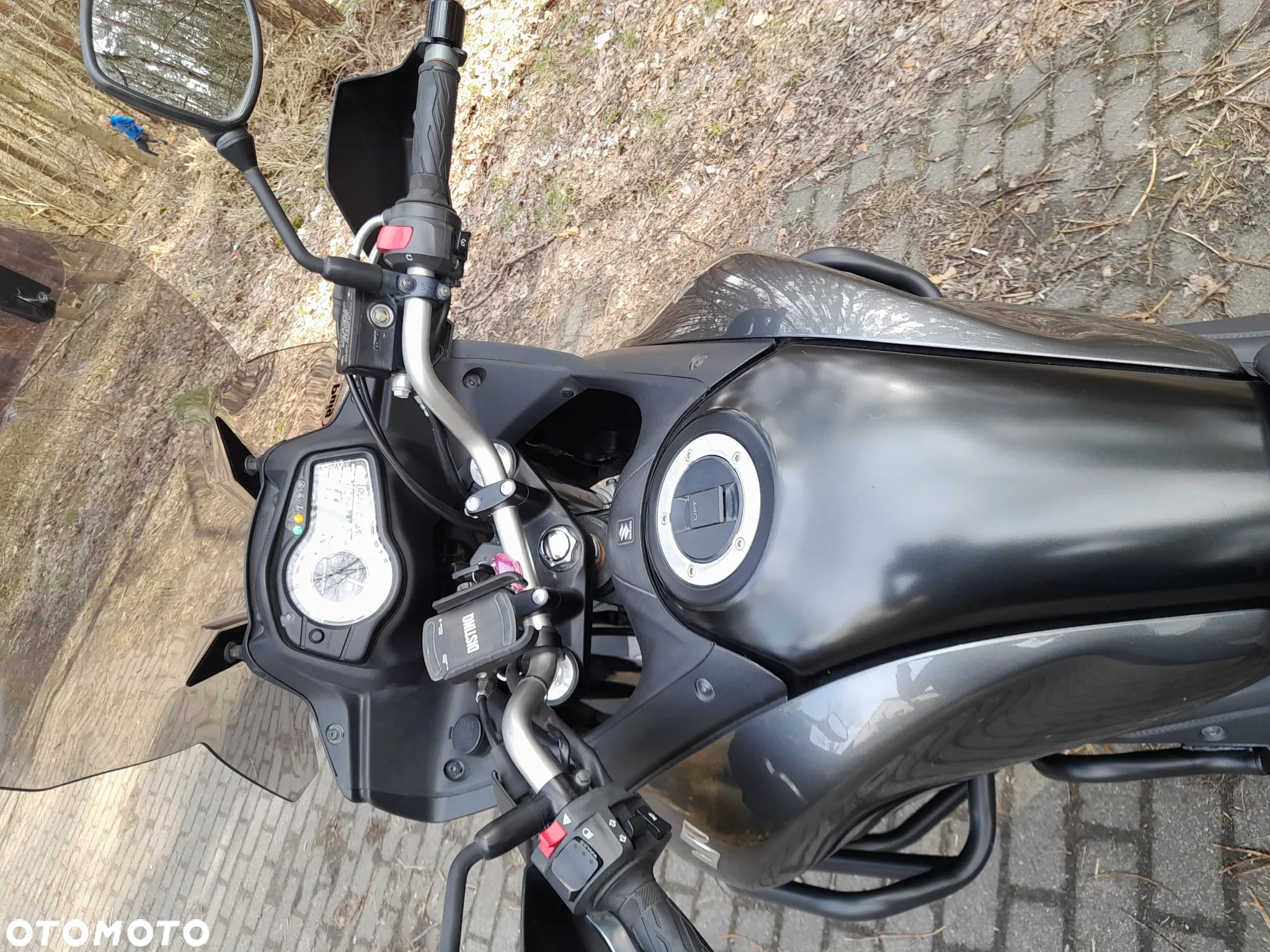 Suzuki DL - 17
