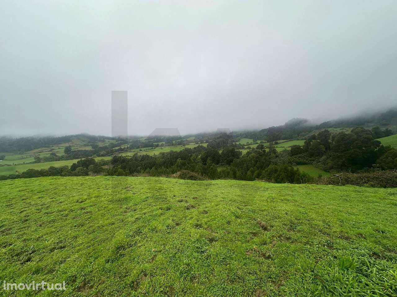 Terreno com 33.345m2 em Lomba do Pomar - Grande imagem: 5/16