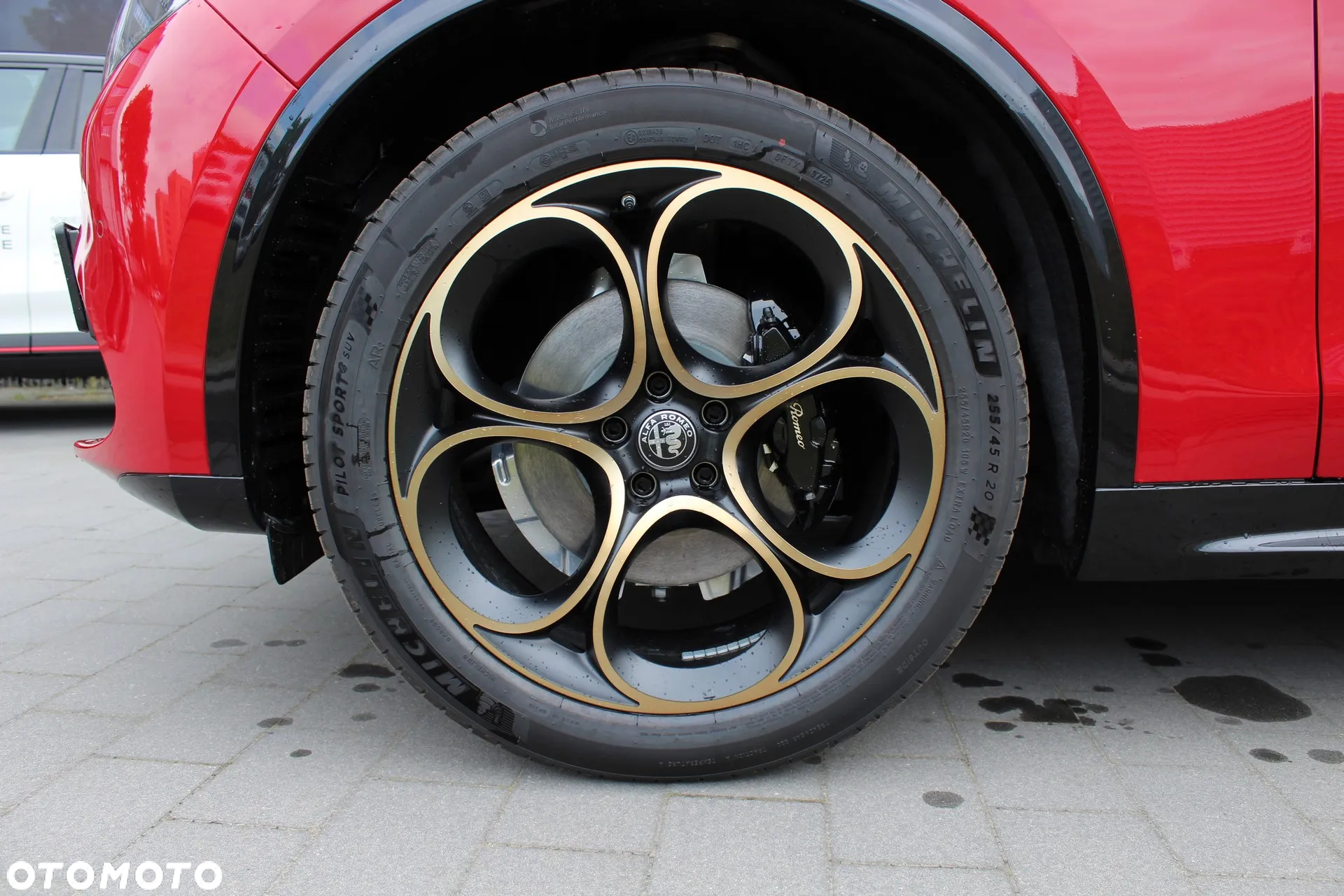 Alfa Romeo Stelvio 2.0 Turbo Intensa Q4 - 7