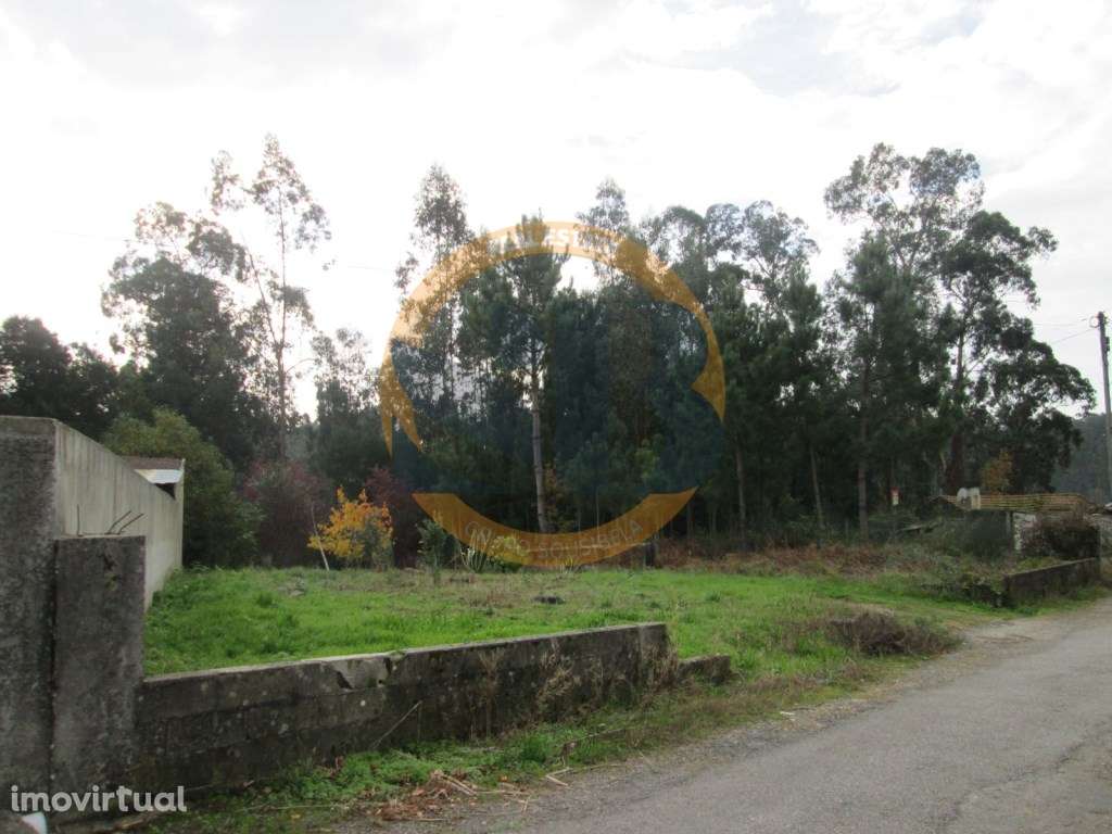Terreno Construção Souto - Grande imagem: 2/5