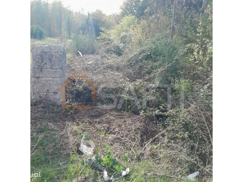 Terreno em local privilegiado - Grande imagem: 4/7