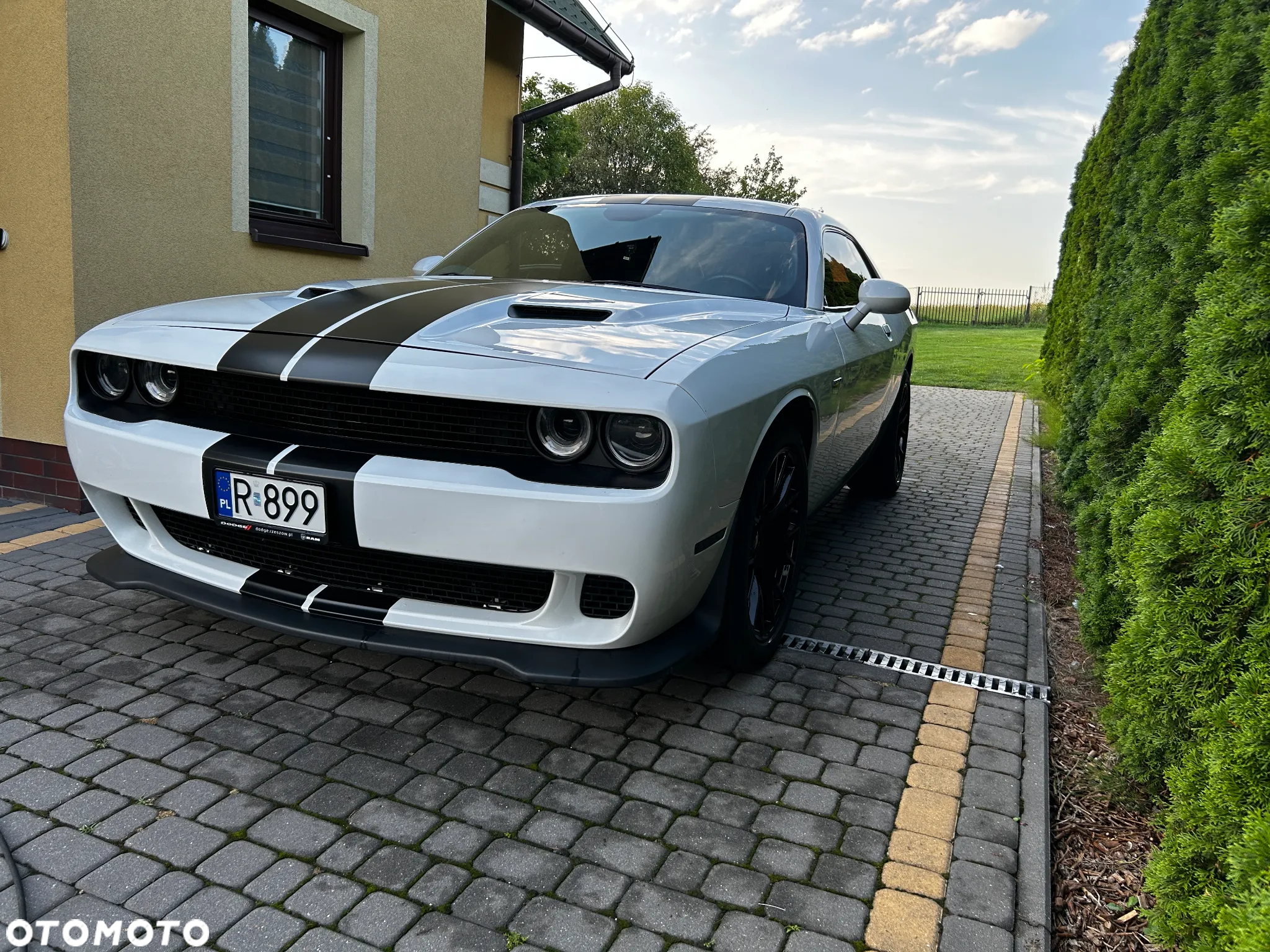 Dodge Challenger Automatik R/T Plus - 10