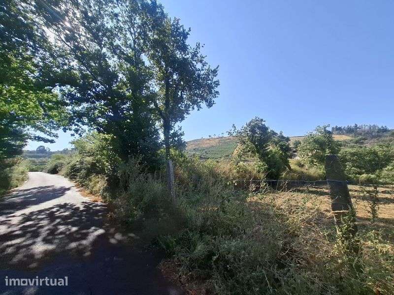 Terreno no Gove/Baião para venda - Grande imagem: 3/12