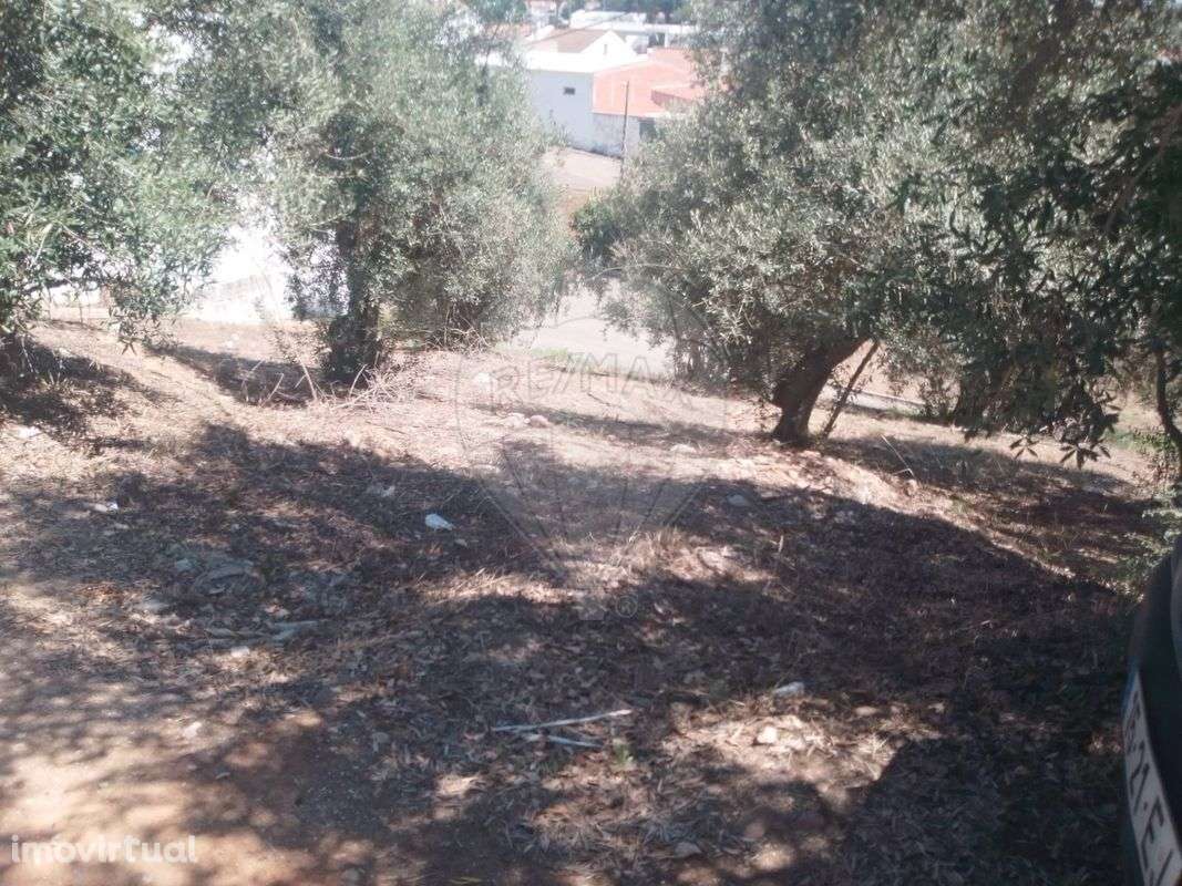 Terreno  para venda - Grande imagem: 3/11