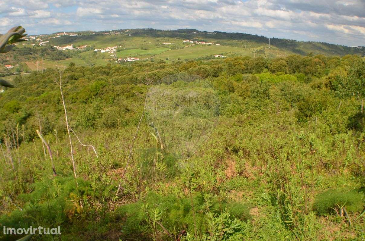 Terreno  para venda - Grande imagem: 5/11