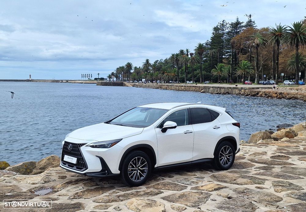 Lexus NX 450h+ - 4