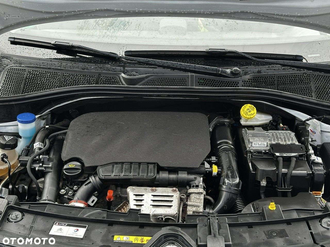 Citroën C4 Cactus 1.2 PureTech Feel S&S - 28