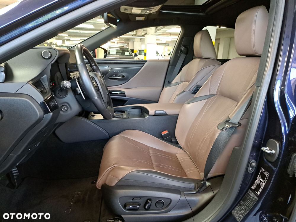 Lexus ES 300h Omotenashi - 12