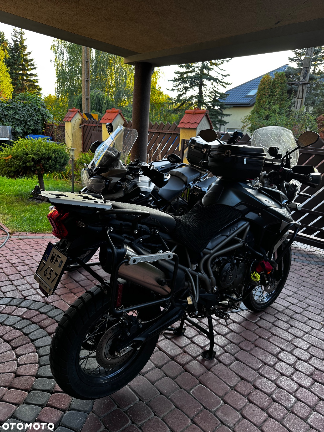 Triumph Tiger - 4