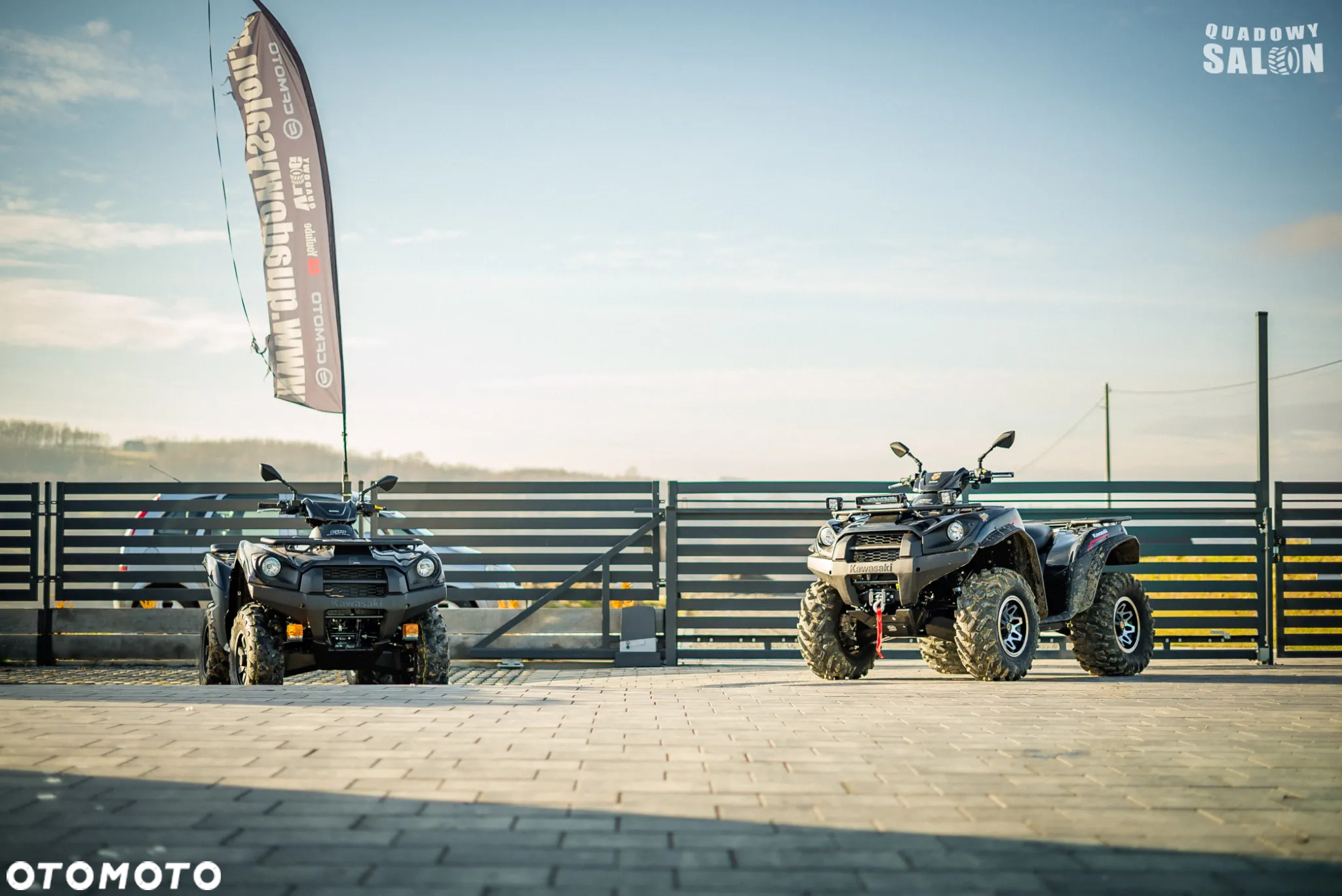Kawasaki Brute Force - 20
