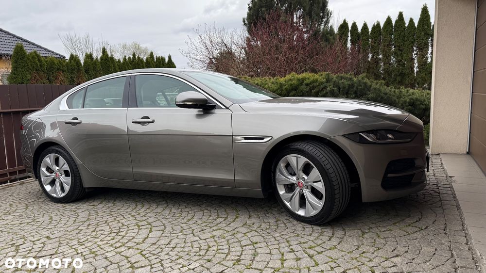 Jaguar XE - 14