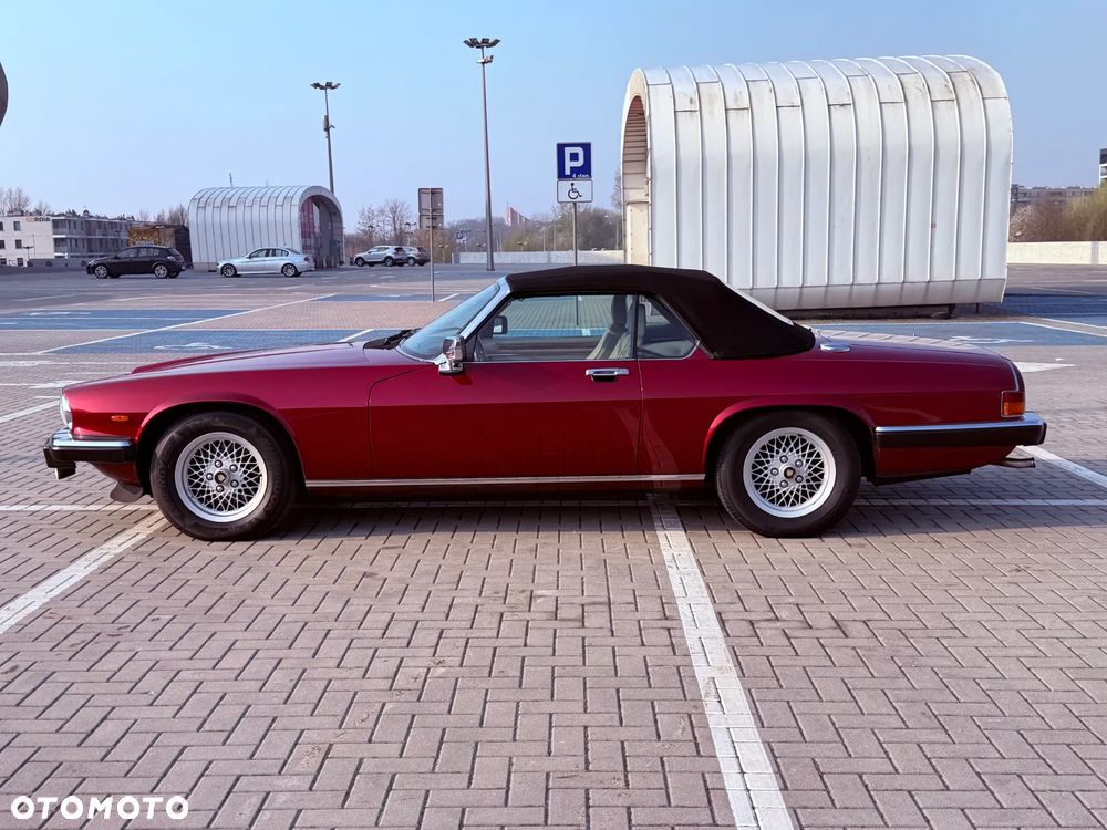 Jaguar XJS - 5