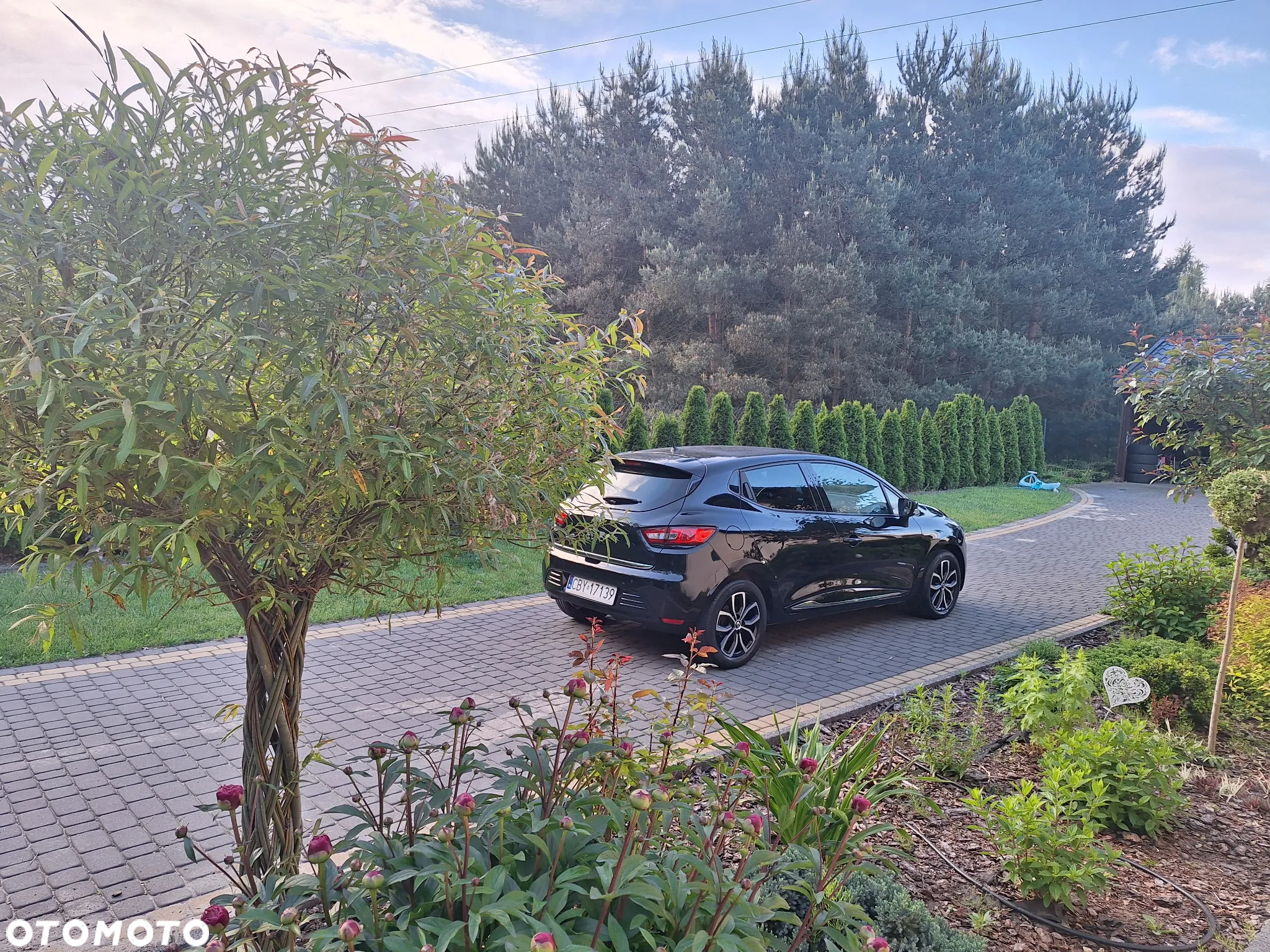 Renault Clio (Energy) TCe 90 Start & Stop LIMITED - 8