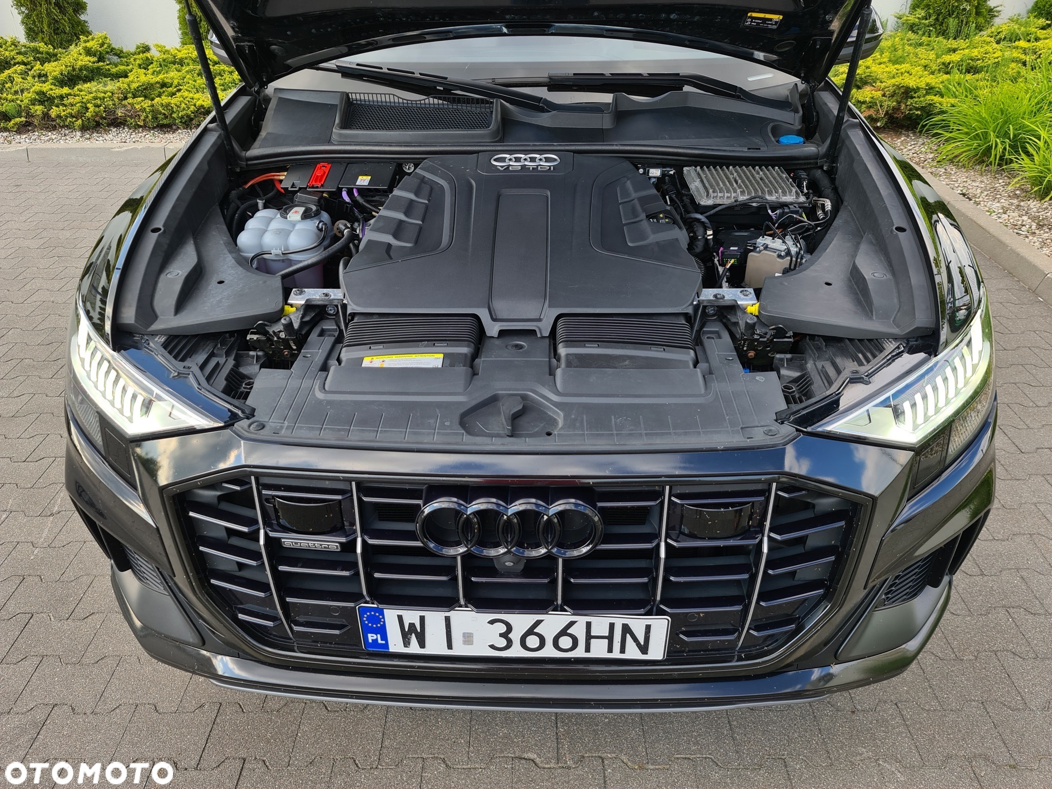 Audi Q8 - 13