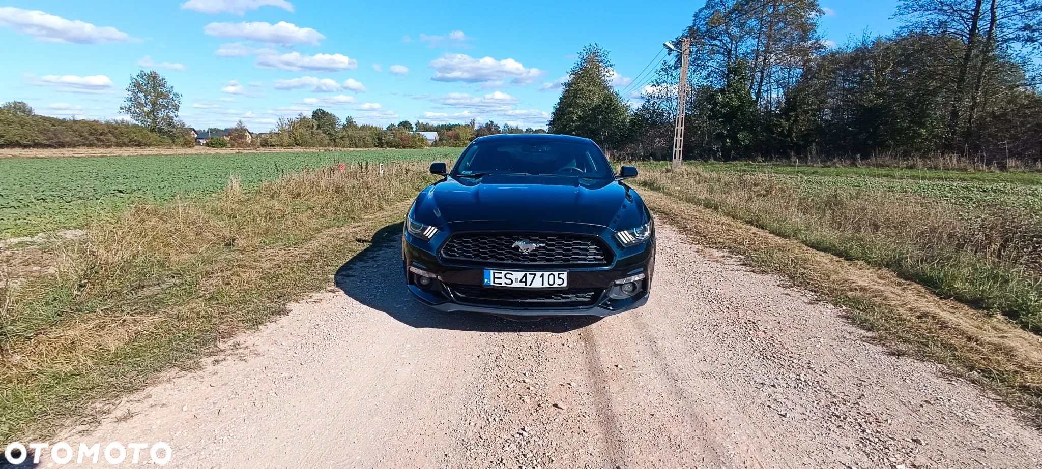 Ford Mustang 2.3 Eco Boost - 2