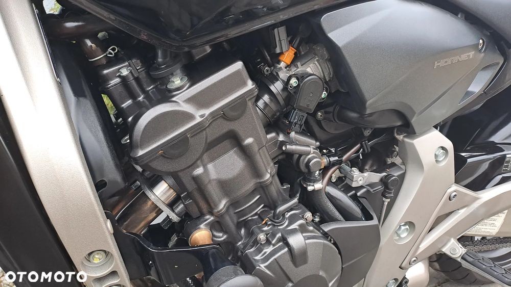 Honda Hornet - 35