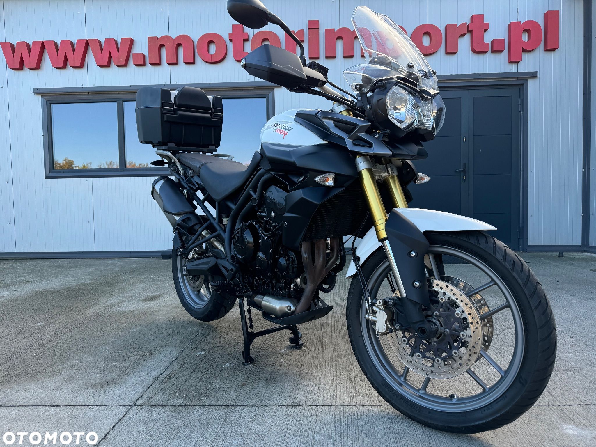 Triumph Tiger - 1