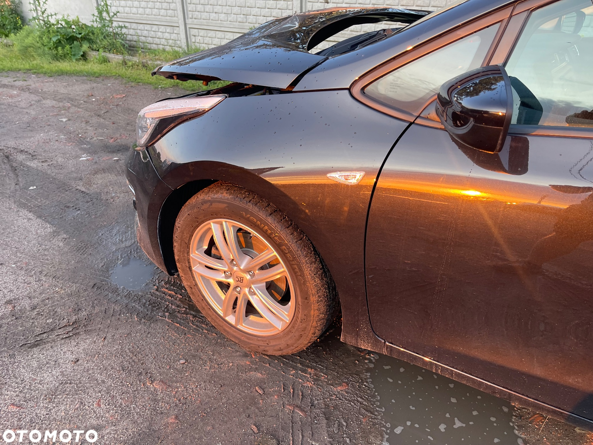 Kia Ceed 1.0 T-GDI 100 ISG Dream Team Edition - 11