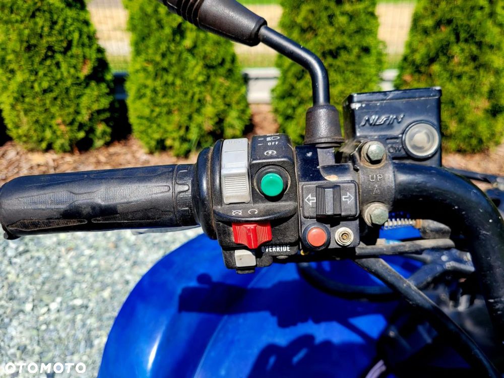 Yamaha Grizzly - 12