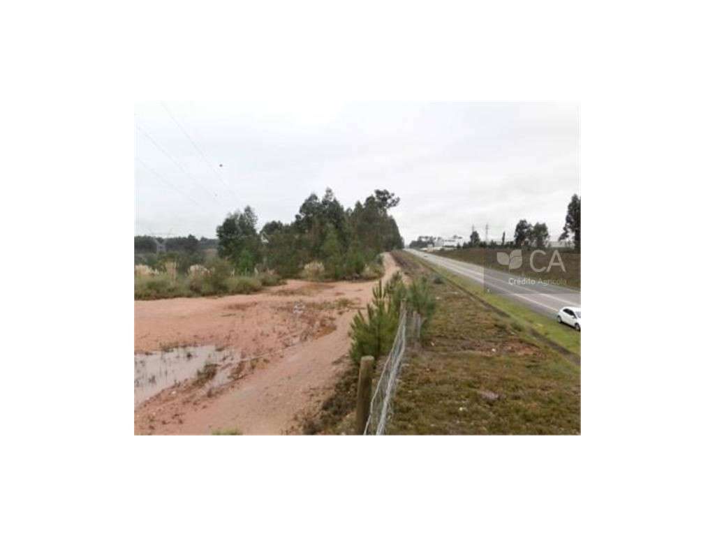 Terreno - Grande imagem: 3/5