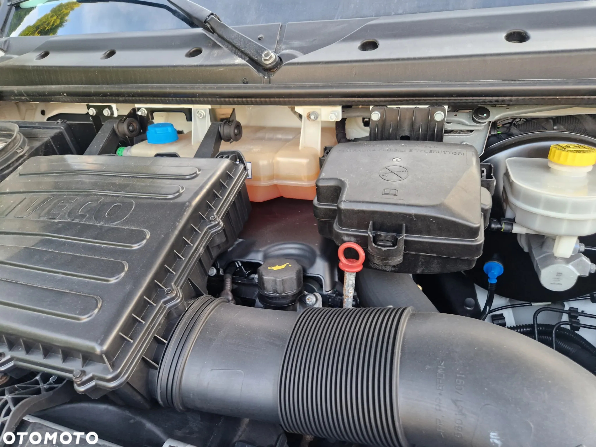 Iveco 35c15 3.0 - 19